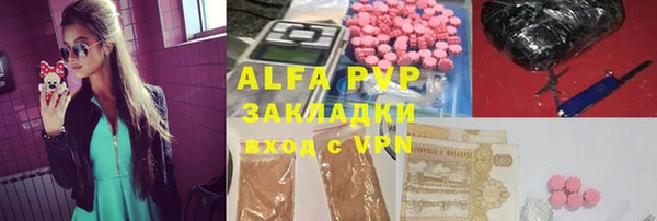 индика Алексеевка