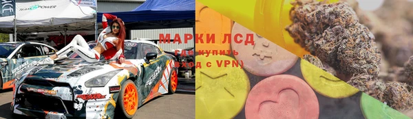 индика Алексеевка